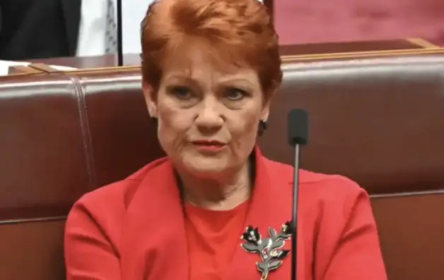 Pauline Hanson disability video leaked, One Nation video mocking NDIS condemned